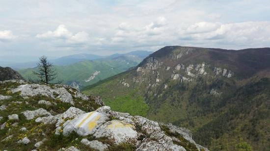 Cerna Valley